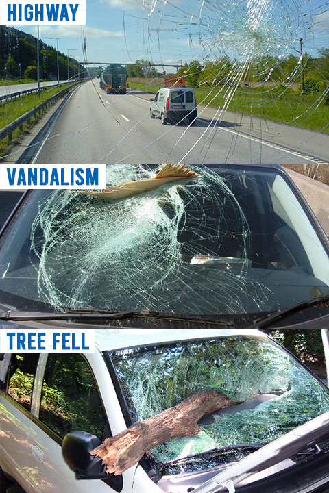common way a windshield got broken - rock hit on highway - vandalism burglar smashed - tree brand fell by Ram Auto Glass